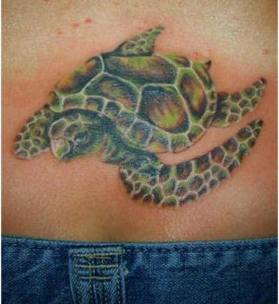 Best Turtle Tattoo Designs - Our Top 10